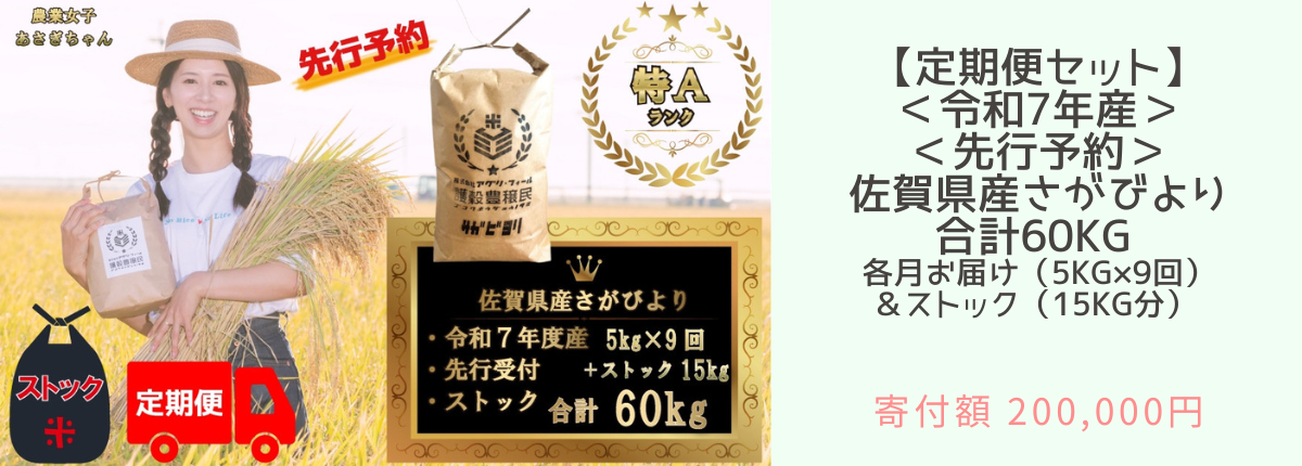【定期便セット】＜令和7年産＞＜先行予約＞佐賀県産さがびより合計60kg 各月お届け（5kg×9回）＆ストック（15kg分）