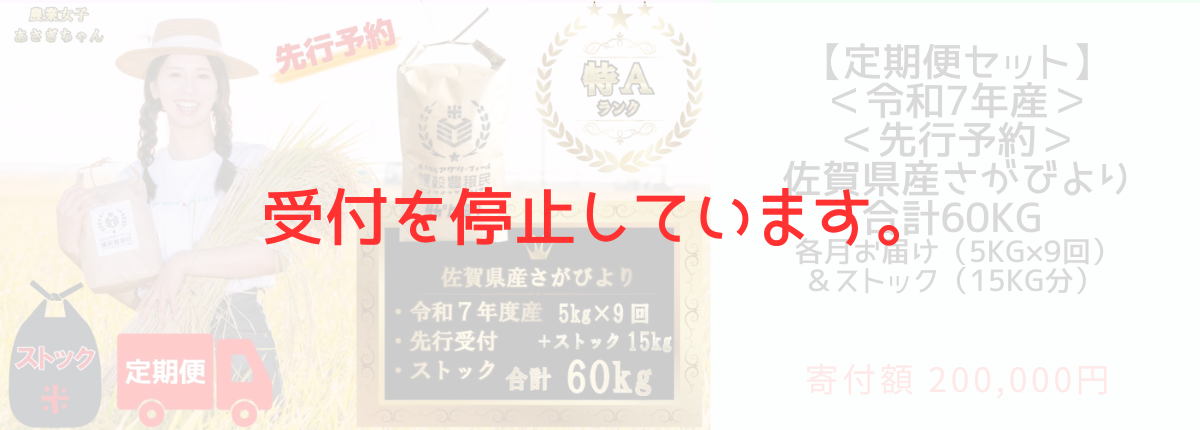 【定期便セット】＜令和7年産＞＜先行予約＞佐賀県産さがびより合計60kg 各月お届け（5kg×9回）＆ストック（15kg分）